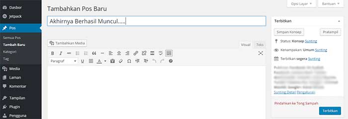 visual editor wordpress normal