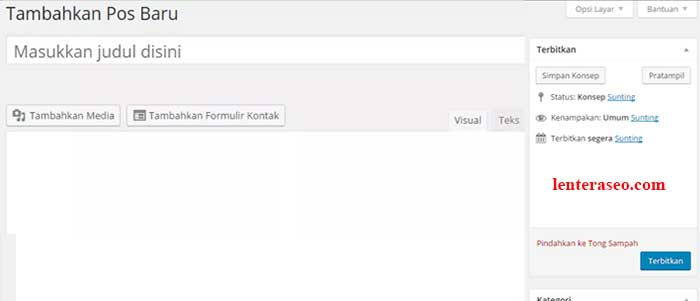 visual editor wordpress blank