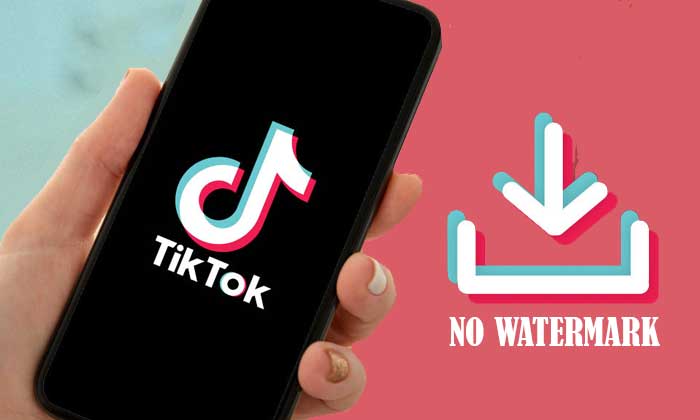 Aplikasi TikTok No Watermark Untuk Download Video - SEO